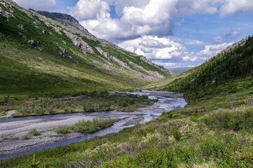 Fototapeta na wymiar River through the mountains