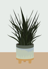 Vector flat image of a house plant in a gray pot on a wooden stand. Herbaceous house plant. Design for postcards, posters, backgrounds, templates, textiles.