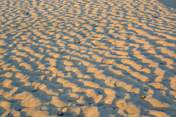 wave pattern on a sand beach at sunset