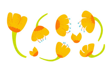 Set of cute orange spring flowers. Vector textured illustration.