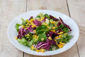 Traditional greek dip sauce or dressing tzatziki prepared with grated cucumber sour cream yogurt olive oil and fresh dill. 