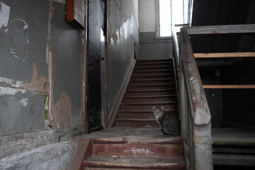Old houses on low-rise street in old poverty