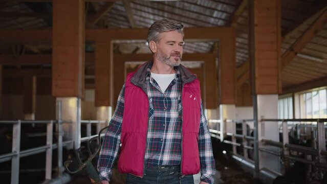 Smiling middle-aged man with pitchfork in hand looking around on background of farmhouse. Footage of male farmer wearing checkered shirt and red vest. ows and bulls, indoors, industry, professional