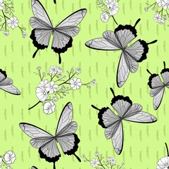 Seamless pattern. Butterflies and geometry. Vintage. Element for design and illustrations.