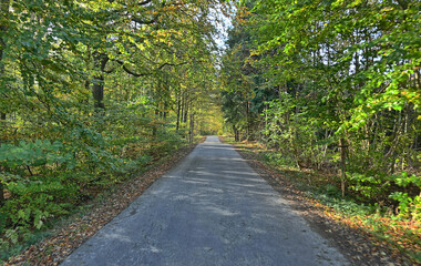 path in the park