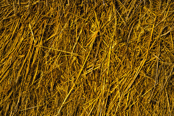 Hay texture. Hay bales are stacked in large stacks. Harvesting in agriculture.