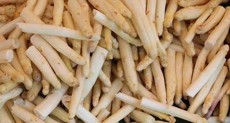 background of white asparagus just picked and ready to be cooked
