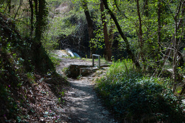 cingioli at marche regio italy natural steam water