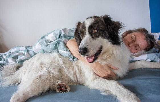 Woman And Cute White Dog Sleeping In Bed