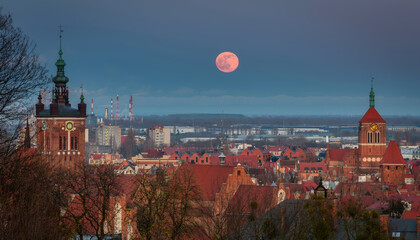 Fototapety na wymiar - Fototapeta24.pl