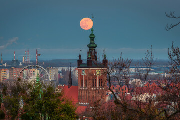 Fototapety na wymiar - Fototapeta24.pl