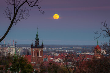 Fototapety na wymiar - Fototapeta24.pl