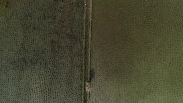 Soil And crop feild aerial