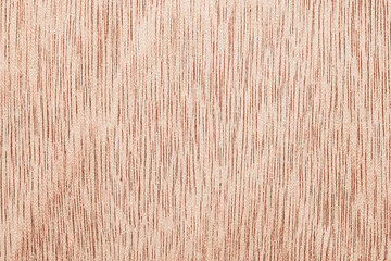 Wood texture. Surface of light wood background for design
