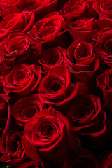 Bouquet Of Beautiful red Roses. Trend color classic red. . Valentine's Day. Selective Focus. Roses wallpaper. Background.