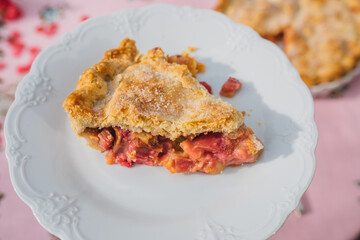 single slice of rhubarb pie on white plate, pink tablecloth with blue roses
