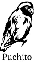 3256-1 Puchito
