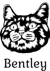 2518-1 Bentley