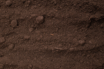 Black land for plant background. Top view.