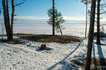 sunset in the winter forest