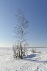 A clear winter day on the Volga River