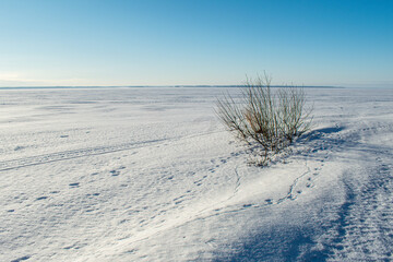 A clear winter day on the Volga River