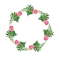 Frame, wreath with watercolor hand-painted proteas. Vintage floral design template. Frame for wedding invitations, anniversaries	