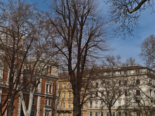 Beautiful view of town square Borsenplatz in the historic center of Vienna, capital of Austria, on sunny day in spring season with bare trees.