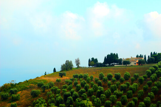 Beautiful hill with green trees and an Italian style house on the top of it under the azure sky with some light clouds in Cupra Marittima Alta (Marano)
