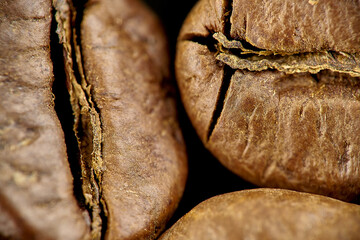 coffee bean macro grain closeup microscope medium rare