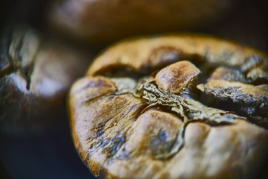 coffee bean macro grain closeup microscope medium rare