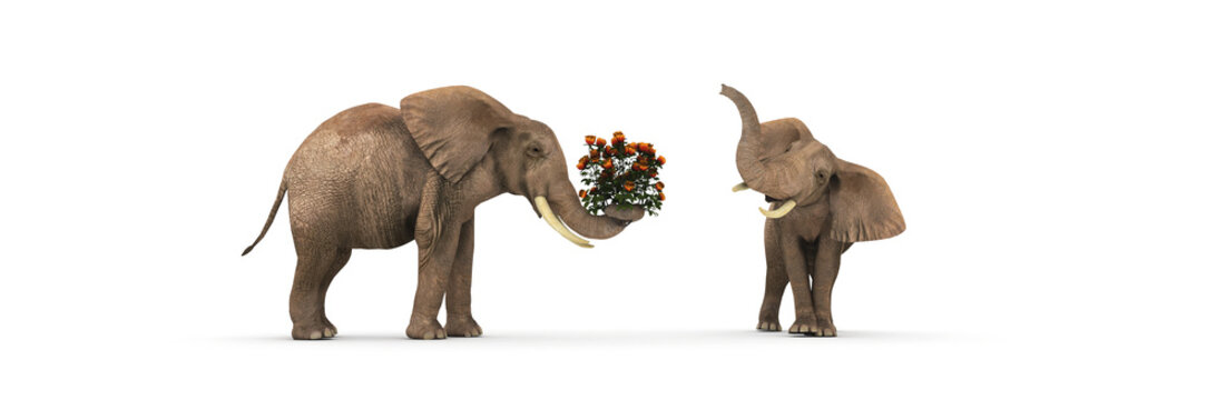 love concept, an elephant giving flowers to an elephant