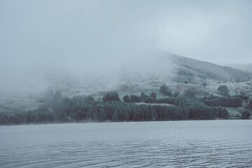 niebla en medio de la laguna y al rededor bosques de pinos 