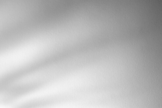Light grayscale background, abstract shadow, paper texture, basis for poster, presentation