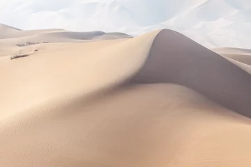 Gordijnen Foggy morning at the desert in United Arab Emirates. Sand dunes muted in color. © Freelancer