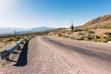 A road in an arid landscape with cactus and surrounded by mountains - Powered by Adobe