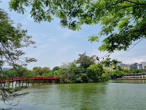 lake in the park