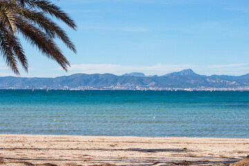 Palm and Mediterranean sea at the beach of Arenal, Majorca, Spain