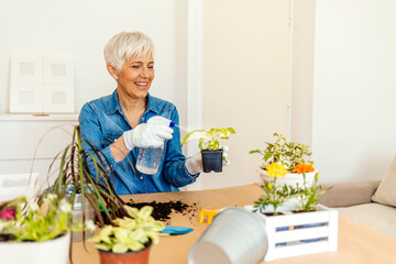 Cropped view of woman watering plants in home. Making domestic work. Planting houseplants, growing...