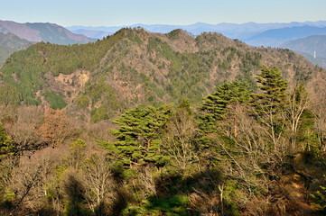 丹沢の大山三峰山より鍋嵐を望む
丹沢　大山三峰山　路肩崩落②より左から鍋嵐、奥左から雁坂嶺、大洞山（飛龍山）、雲取山、高丸山、鷹ノ巣山、御前山
