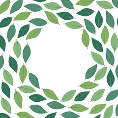 Naklejka premium pattern of green leaves on white background with circle place for text- vector illustration