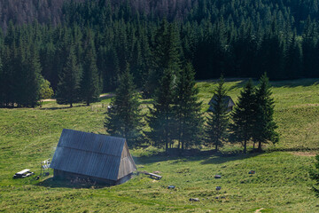 Pasterka, Tatry, Zakopane, Polska © Kornel