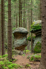 Skalne Grzyby, Góry Stołowe, Polska © Kornel