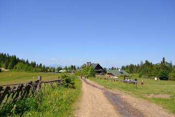 Obraz premium Gorce, góry, szlak na Turbacz, wiosna, 