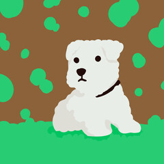 Cute and cuddly white puppy