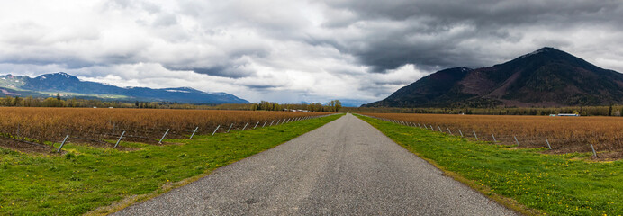 Obraz premium Blueberry farm road with clouds and mountains