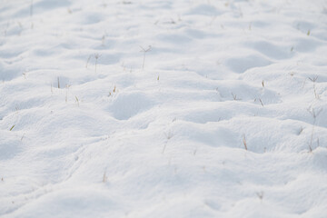 Fototapeta na wymiar beautiful white pure snow texture background, winter precipitation