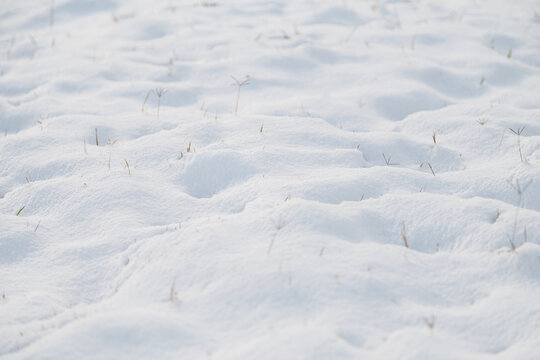 Beautiful White Pure Snow Texture Background, Winter Precipitation