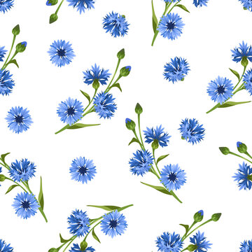 Vector seamless floral pattern with blue cornflowers on a white background