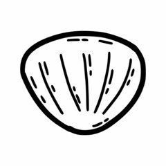 Sea shell in doodle style. Scallop. Coloring book for children. Marine mollusk.